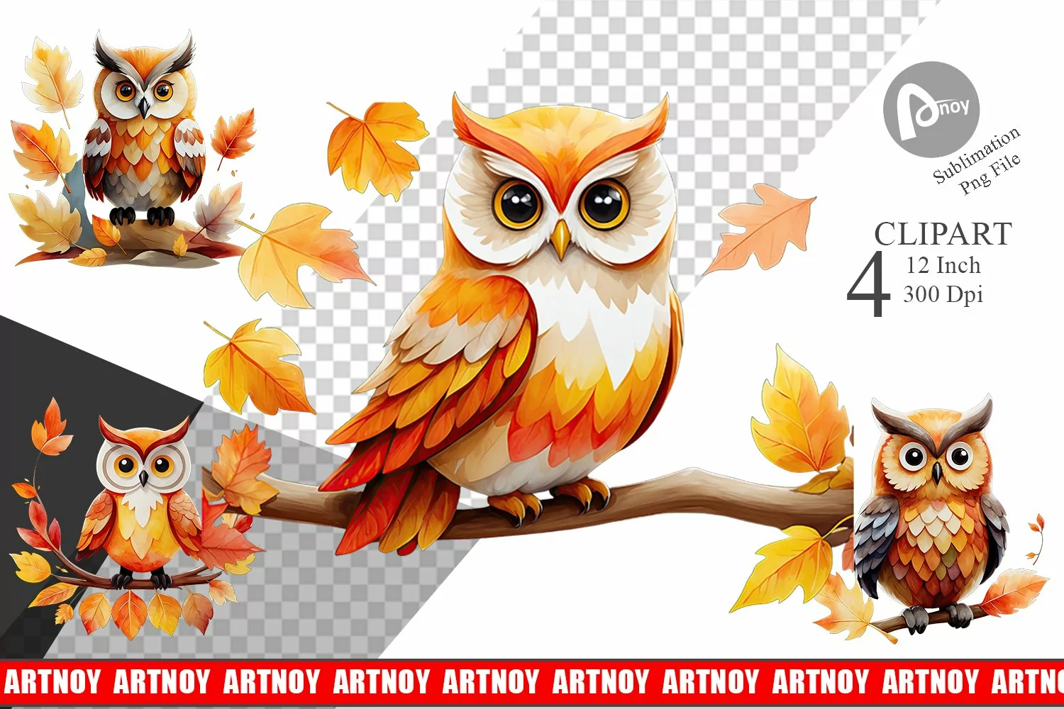 Autumn Owl Watercolor Clipart product image 1