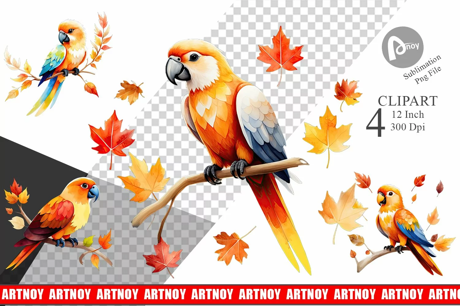 Autumn Parrot Watercolor Clipart product image 1