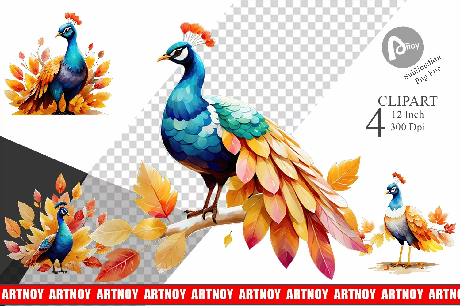 Autumn Peacock Watercolor Clipart product image 1