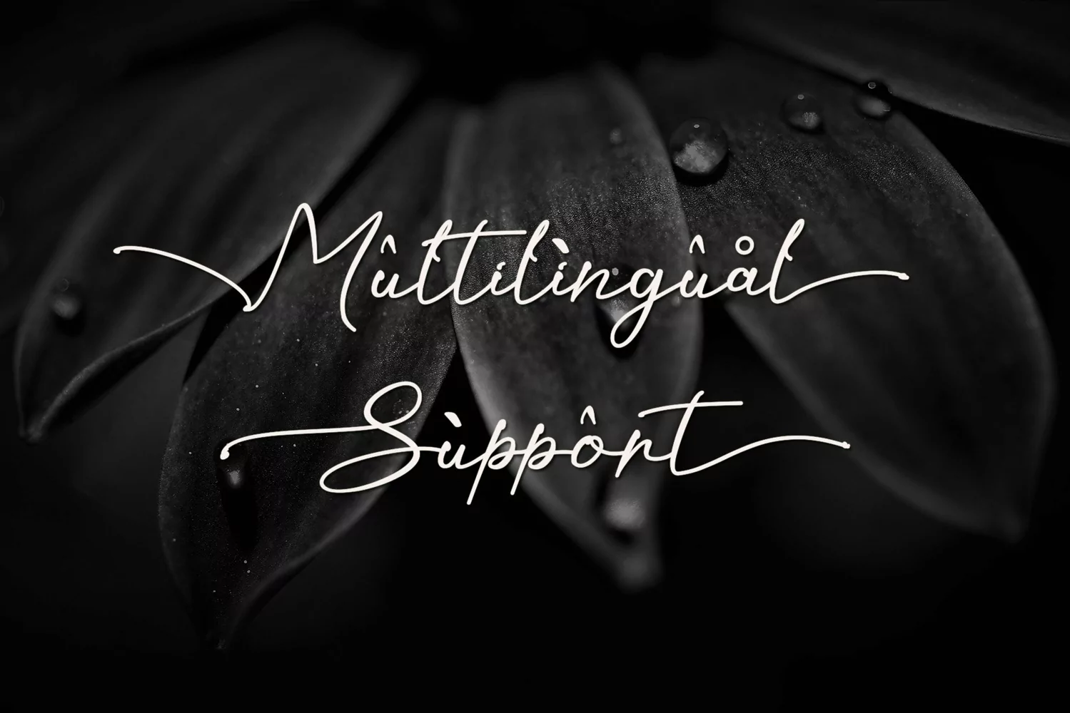 Kaliurang Signature - Natural Handwritten product image 1