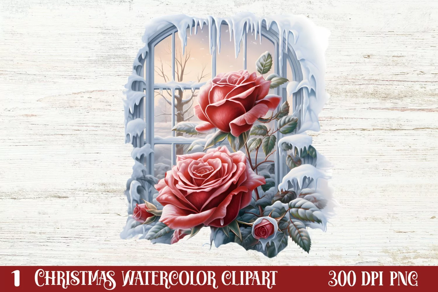 Beautiful Winter Roses Clipart, Christmas Rose Clipart product image 1