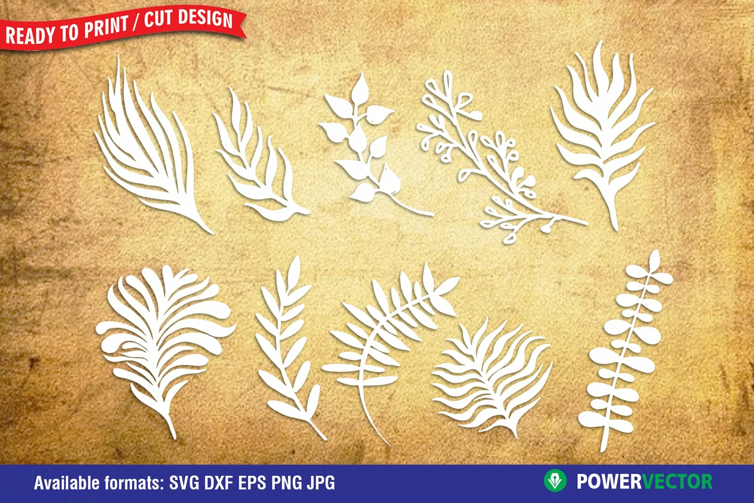Leaves Dxf | Leaf SVG for Silhouette, Cricut Cutting product image 1