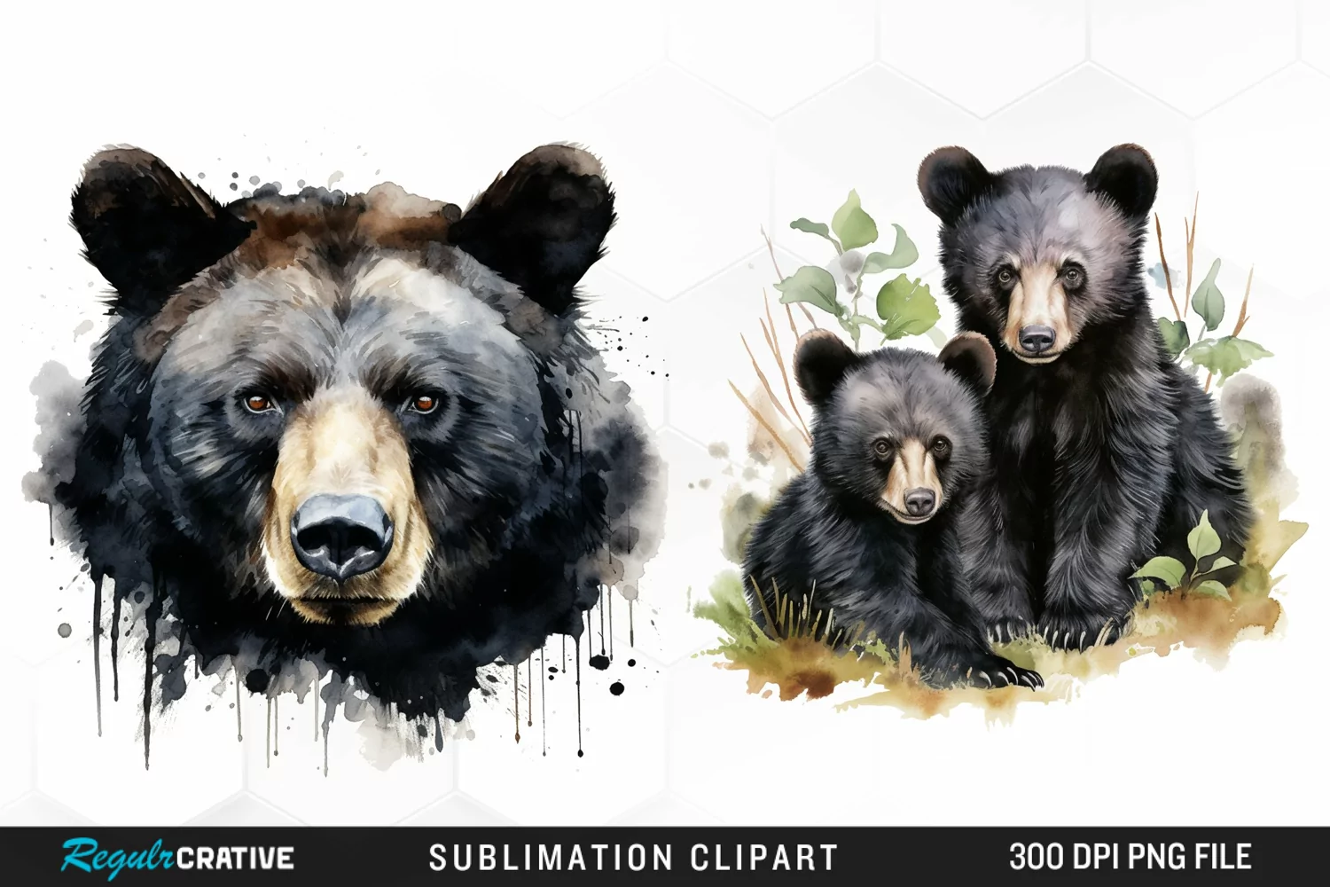 Watercolor Black Bear Illustration Clipart product image 1