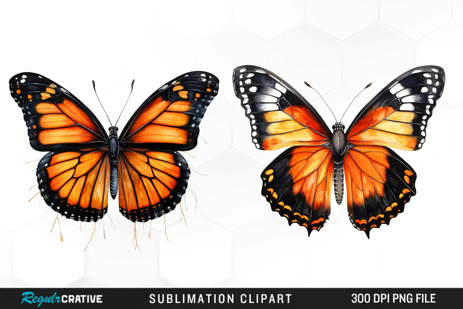 Butterfly Illustration PNG Clipart product image 1