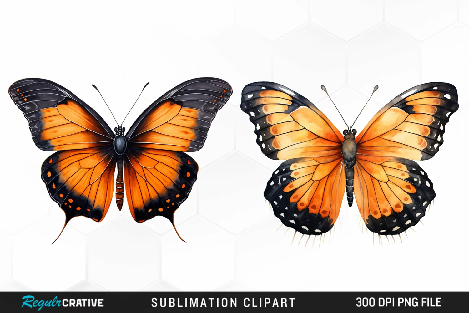 Butterfly Illustration PNG Clipart product image 1