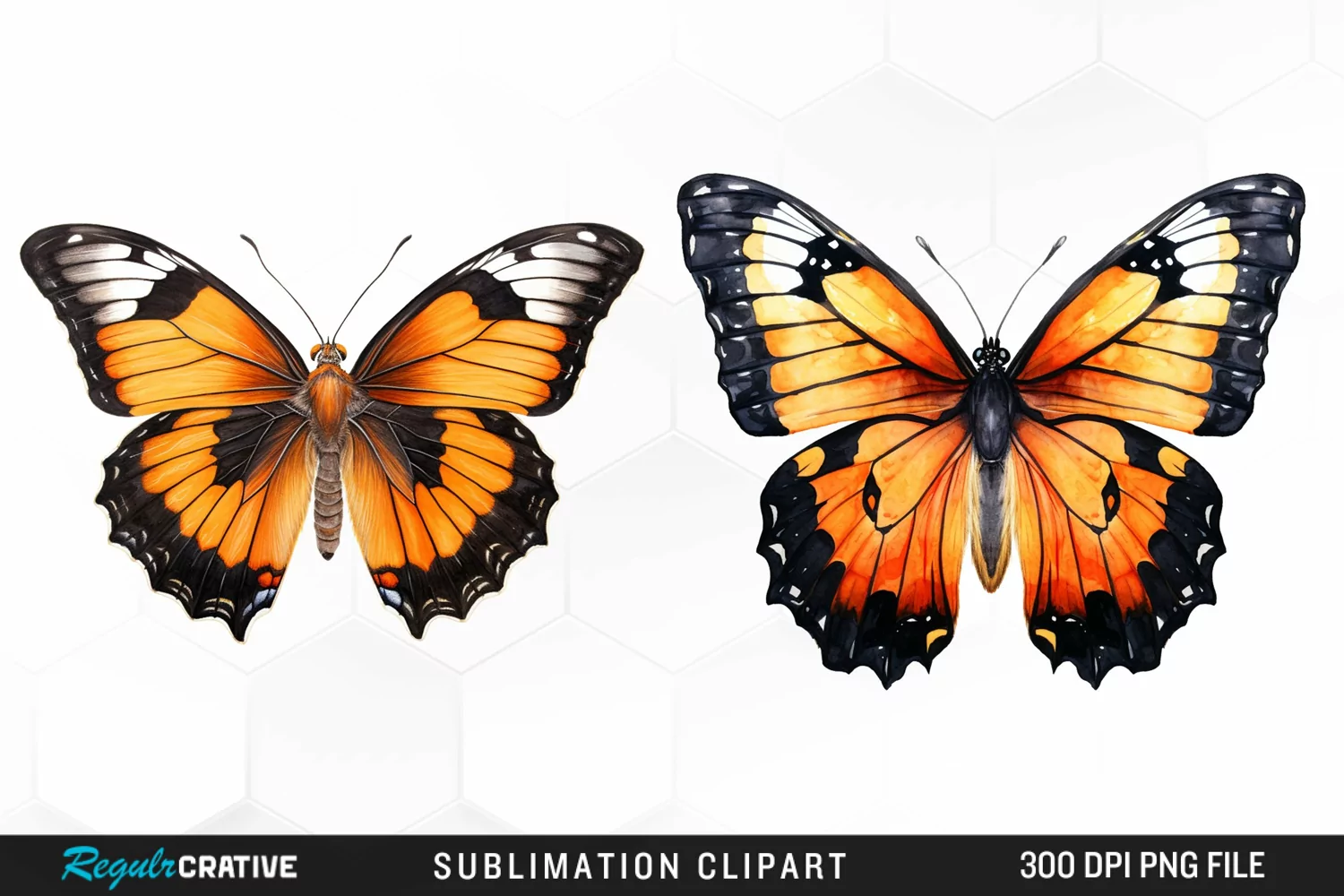 Butterfly Illustration PNG Clipart product image 1