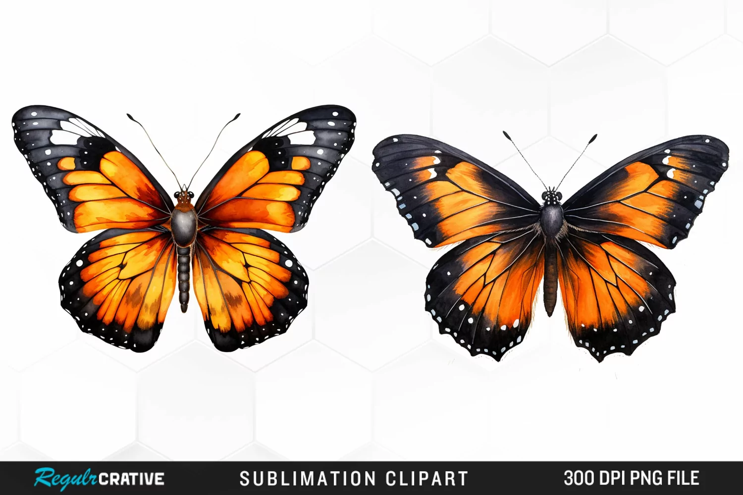 Butterfly Illustration PNG Clipart product image 1
