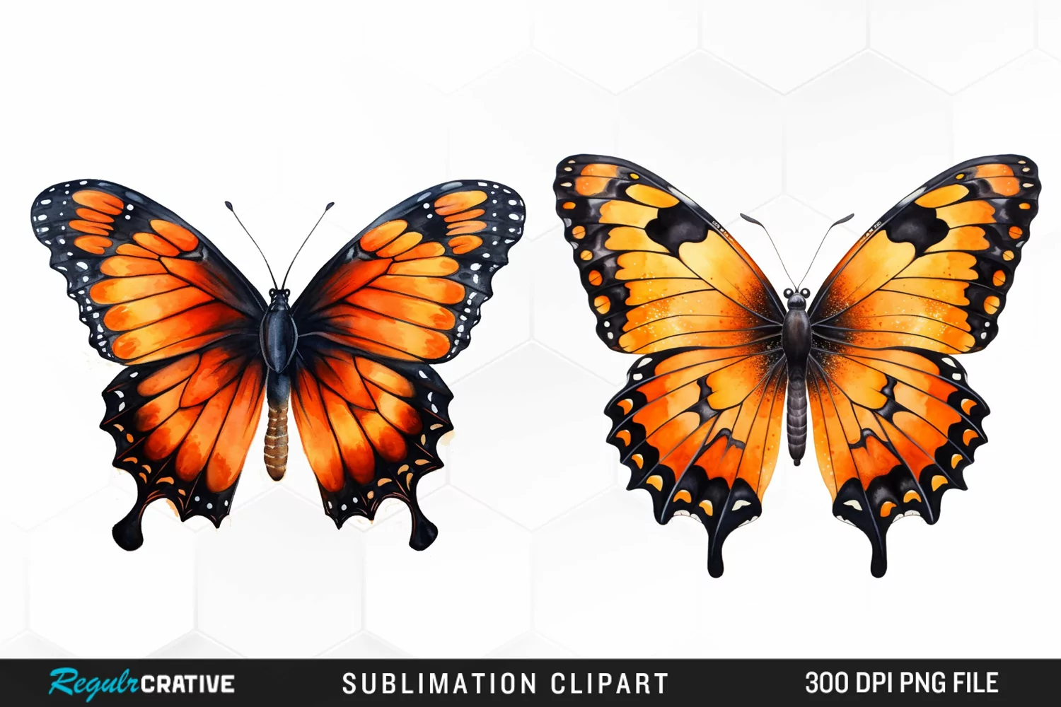 Butterfly Illustration PNG Clipart product image 1