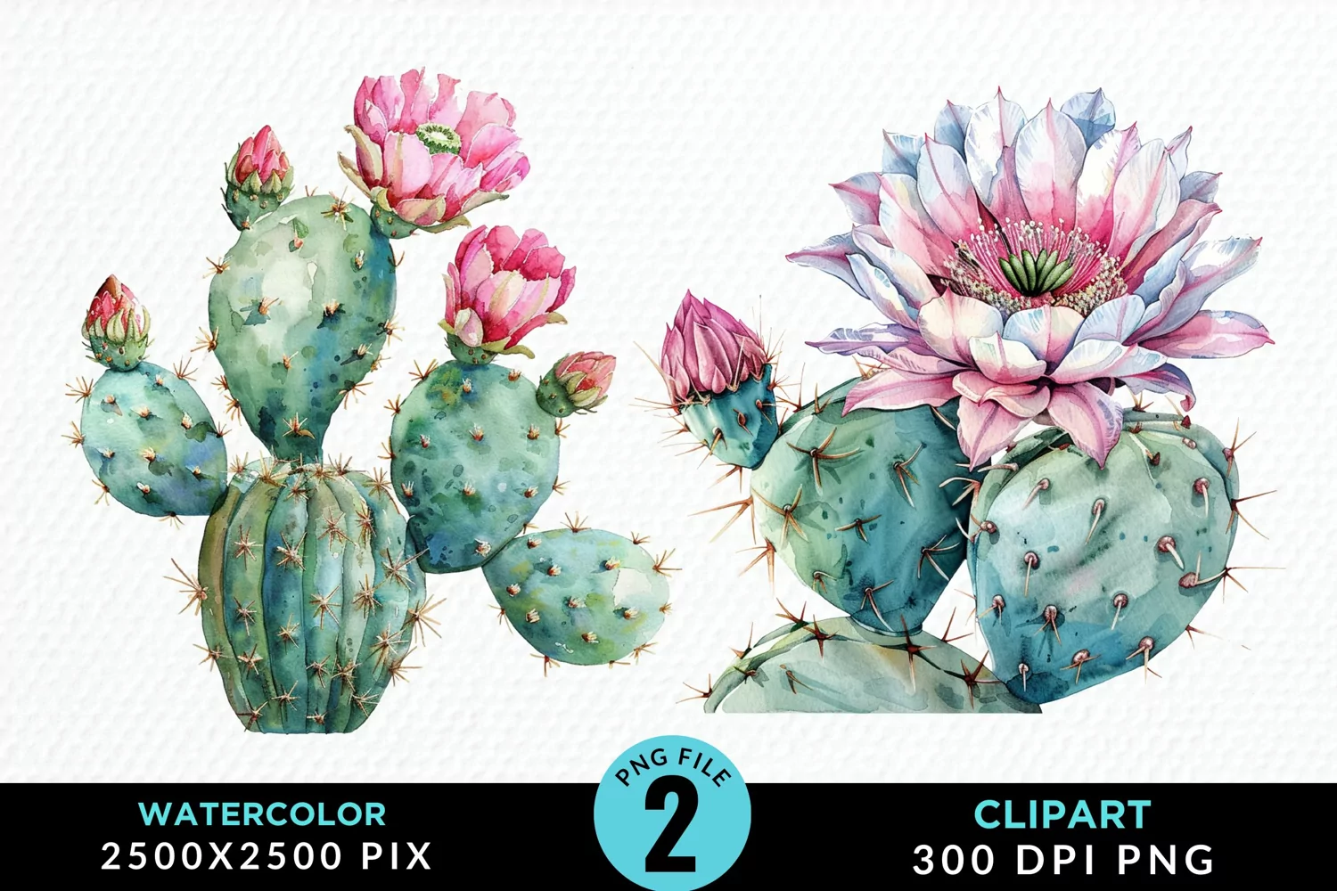 Watercolor Cactus Flower Graphic Clipart product image 1