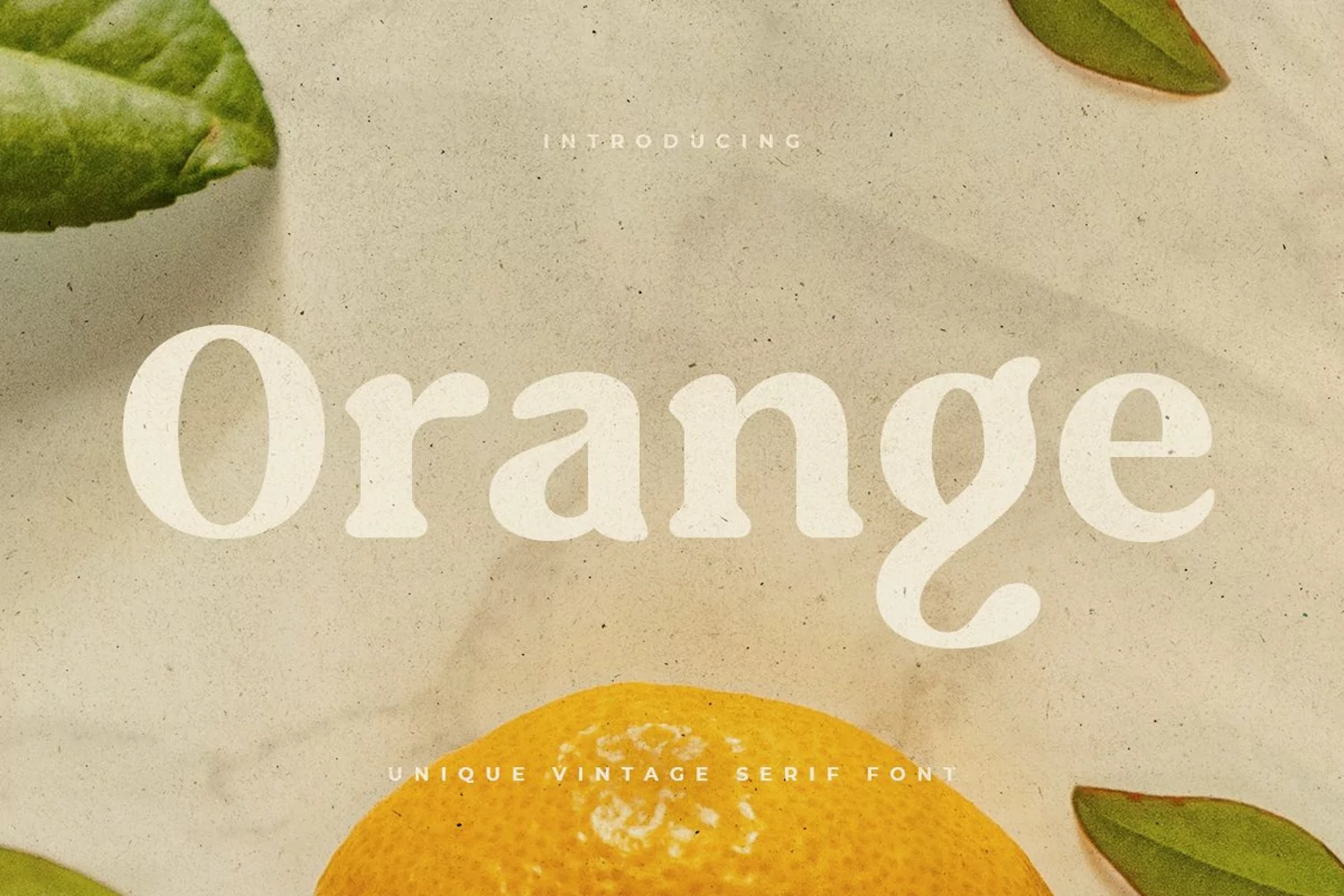 Caught - Unique Vintage Serif Font product image 1