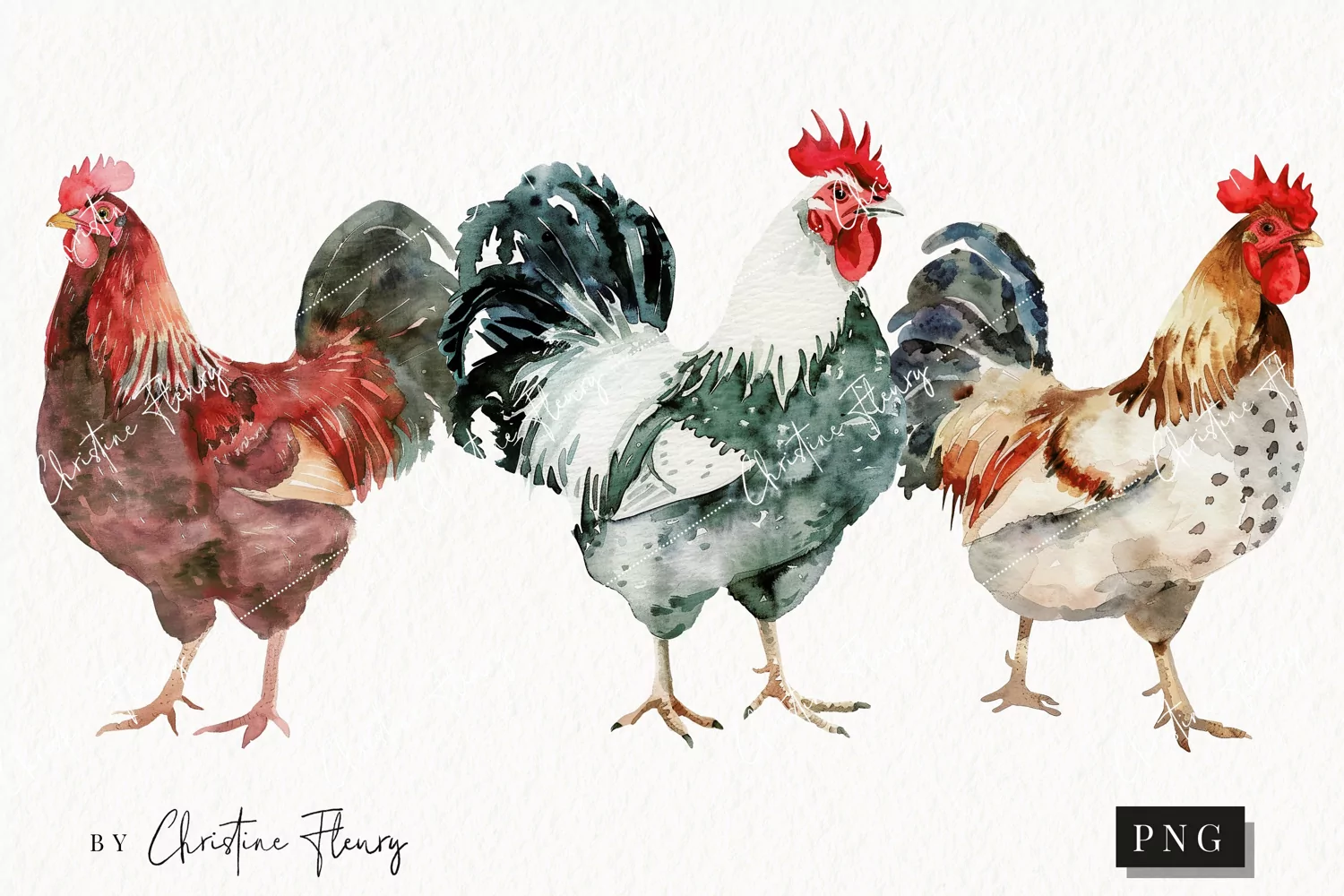 Watercolor Chickens | Farmhouse PNG product image 1