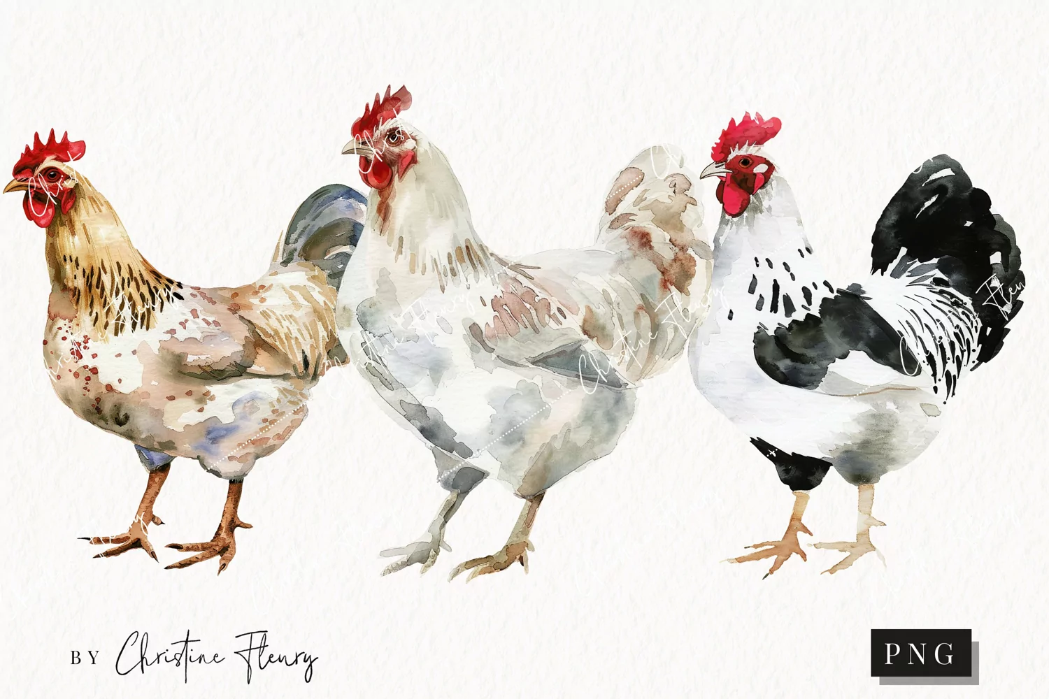 Watercolor Chickens | Farmhouse PNG product image 1