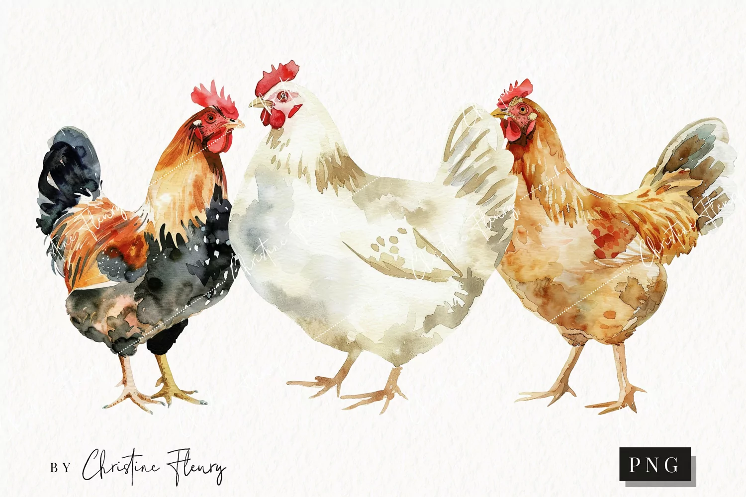 Watercolor Chickens | Farmhouse PNG product image 1