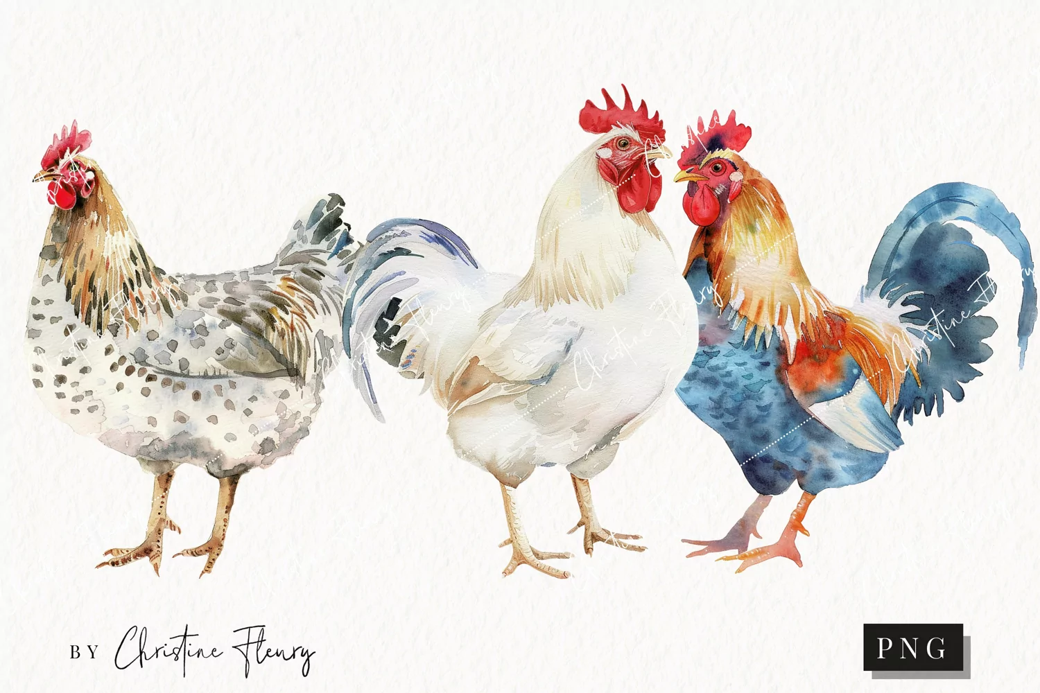 Watercolor Chickens | Farmhouse PNG product image 1