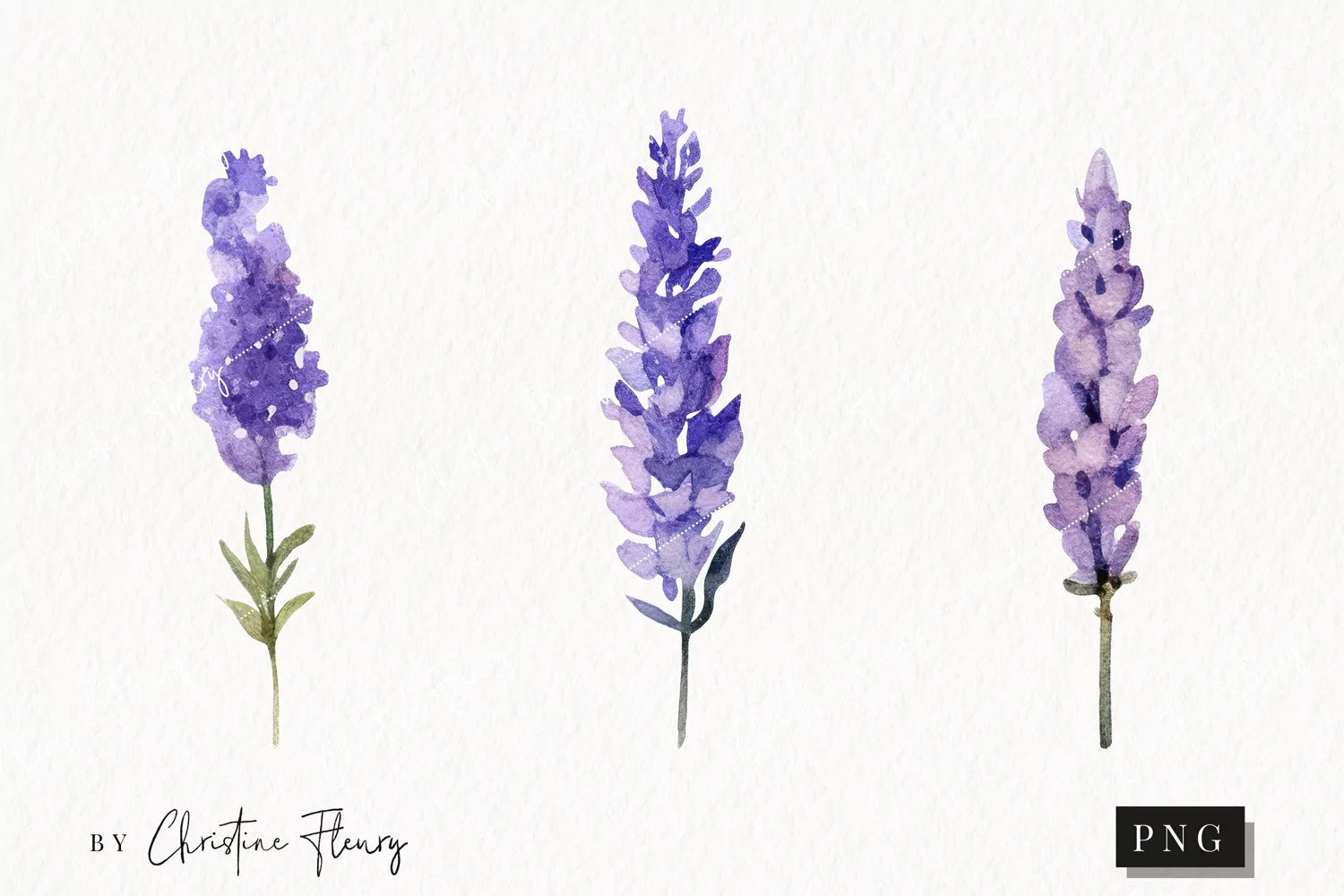 Watercolor Lavender Clipart | Flower PNG product image 1