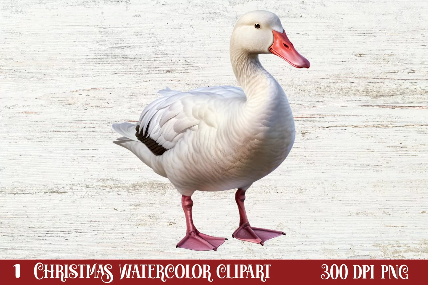 Christmas Birds Clipart , Christmas Birds Clipart product image 1