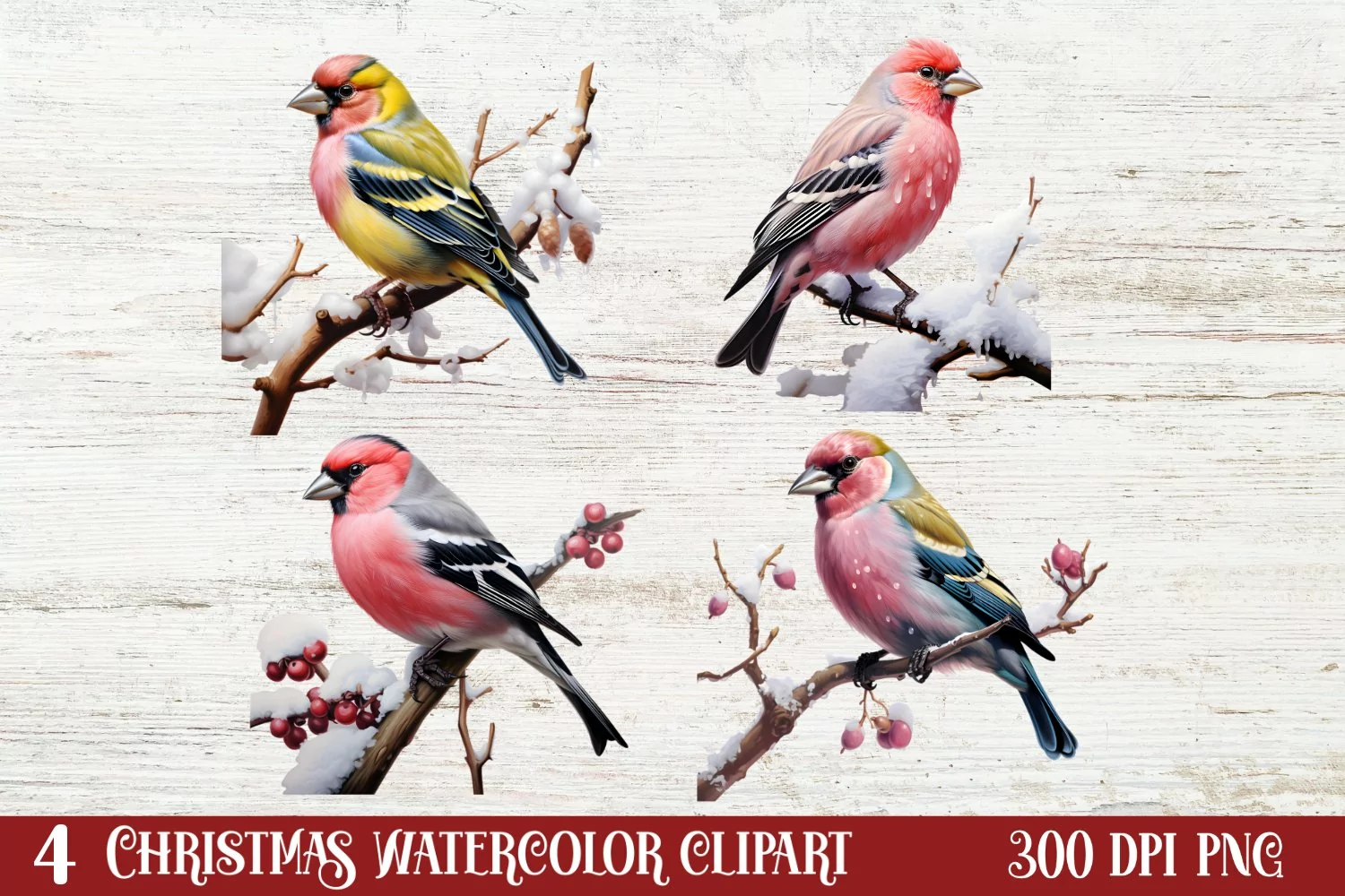 Christmas Birds Clipart , Christmas Birds Clipart product image 1