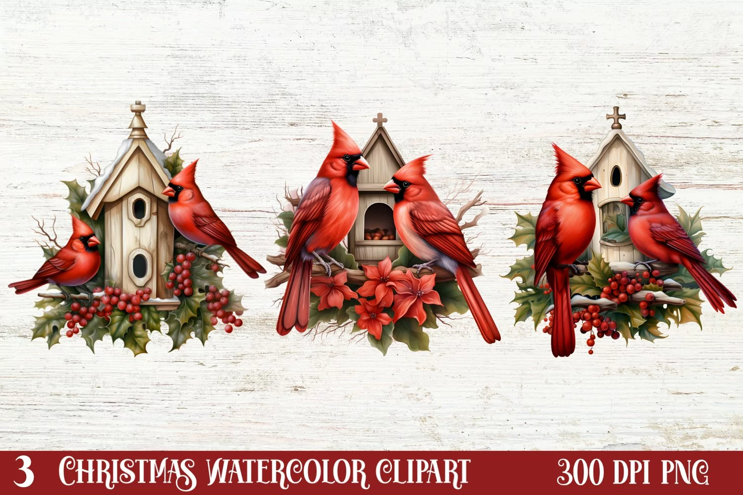 Christmas Cardinal Watercolor Clipart, Christmas Cardinal clipart Sublimation Bundle, Christmas Cardinal Clipart, Christmas Cardinal Clipart Bundle, Christmas Cardinal Watercolor, Watercolor Christmas Cardinal, Christmas Cardinal Sublimation, Christmas Ca