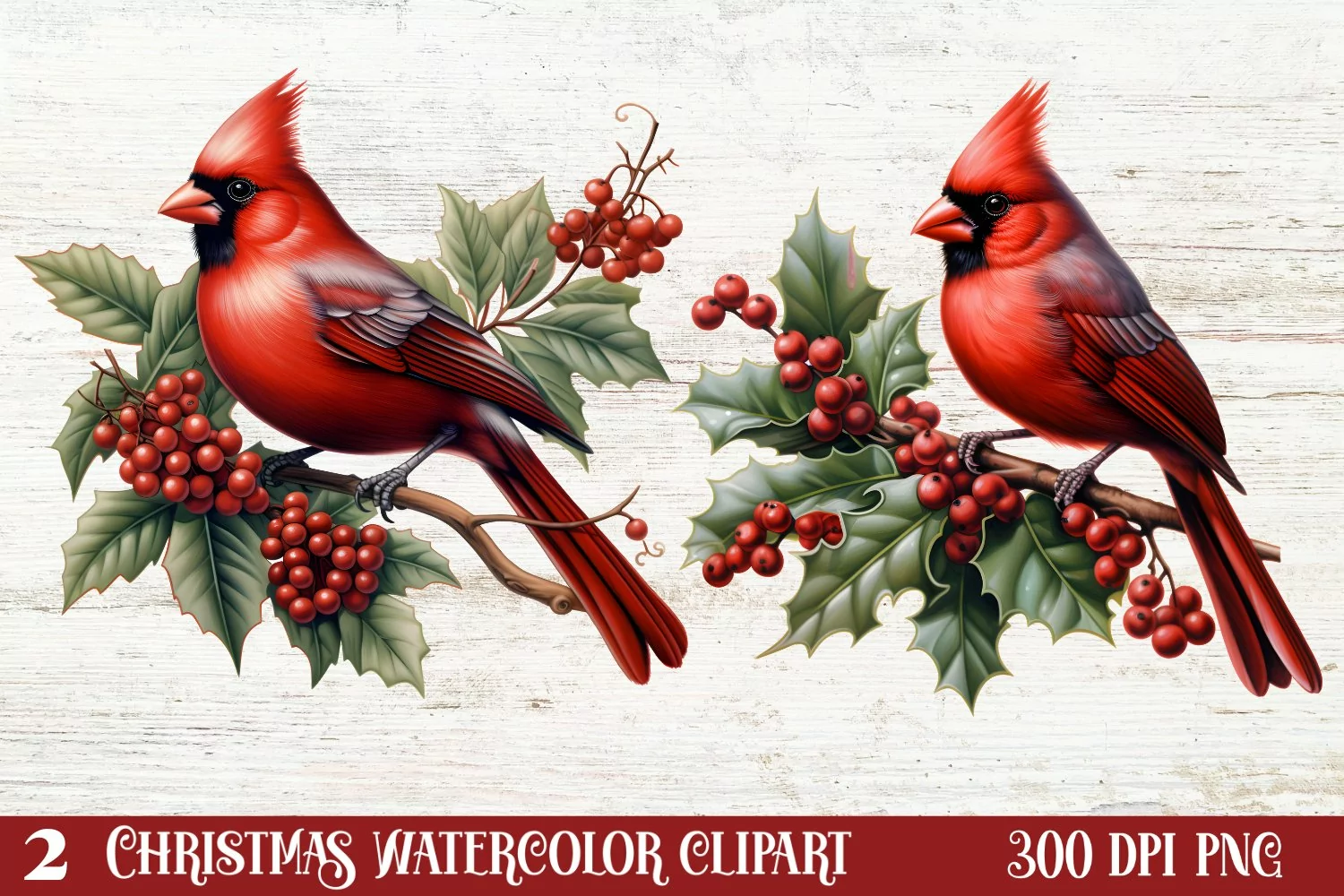 Christmas Cardinal Watercolor Clipart, Christmas Cardinal product image 1