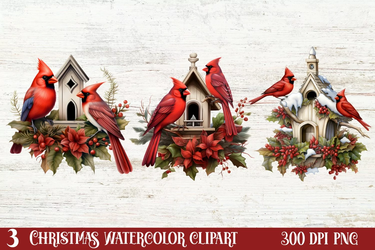 Christmas Cardinal Watercolor Clipart, Christmas Cardinal product image 1