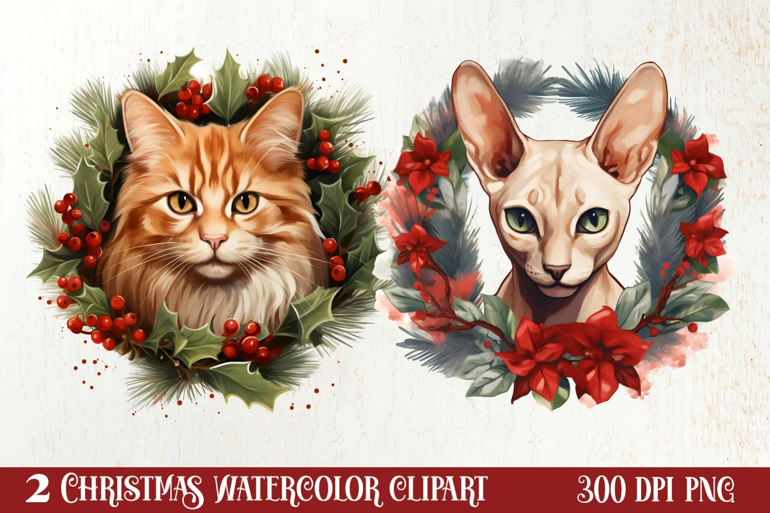 Christmas Cat Wreath Sublimation Clipart, Christmas Cat PNG product image 1
