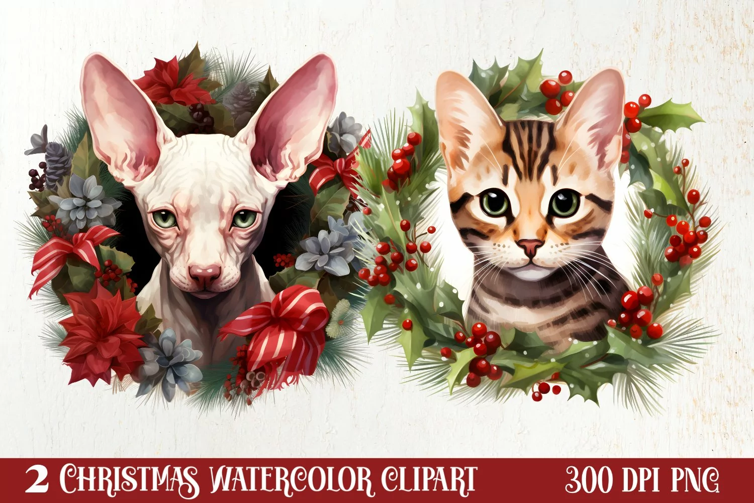 Christmas Cat Wreath Sublimation Clipart, Christmas Cat PNG product image 1