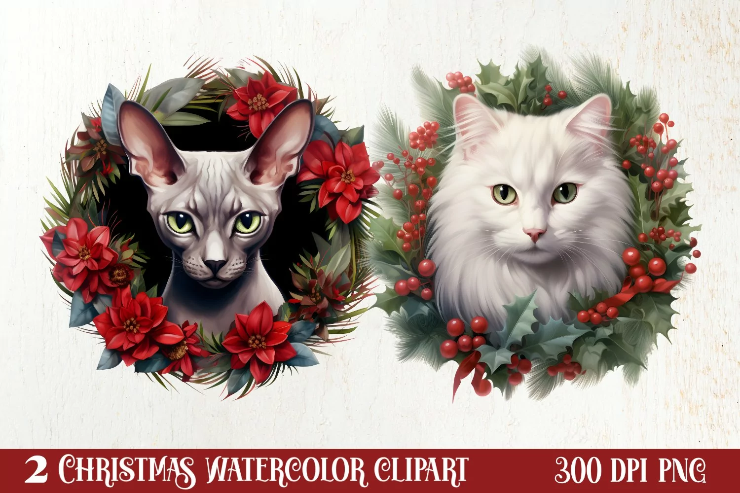Christmas Cat Wreath Sublimation Clipart, Christmas Cat PNG product image 1
