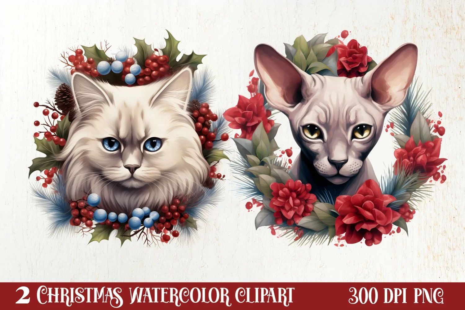 Christmas Cat Wreath Sublimation Clipart, Christmas Cat PNG product image 1