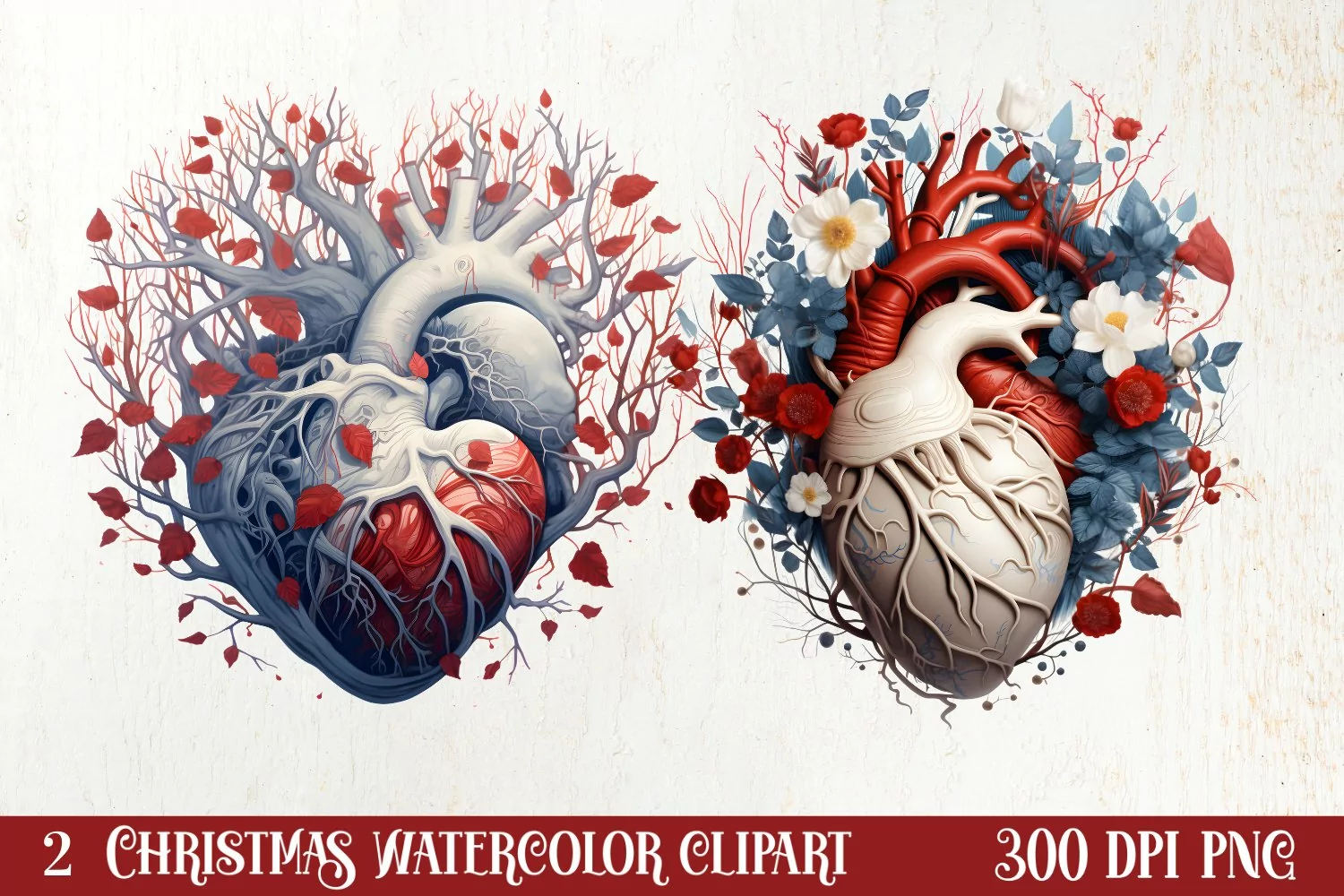 Watercolor Christmas Floral Hearts Clipart product image 1