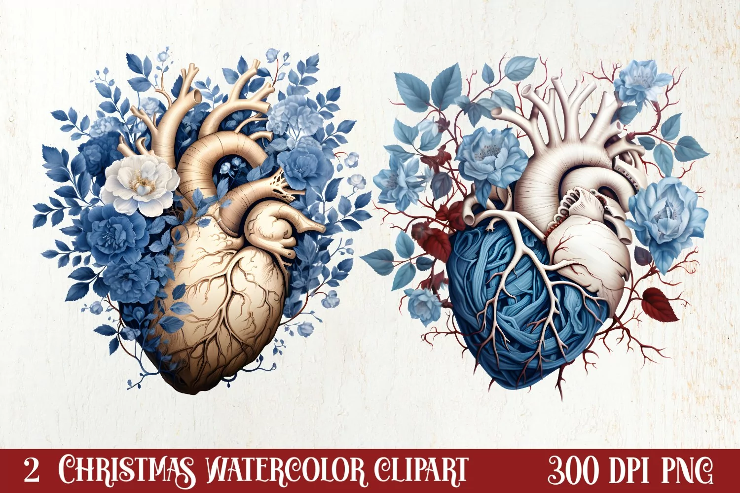 Watercolor Christmas Floral Hearts Clipart product image 1