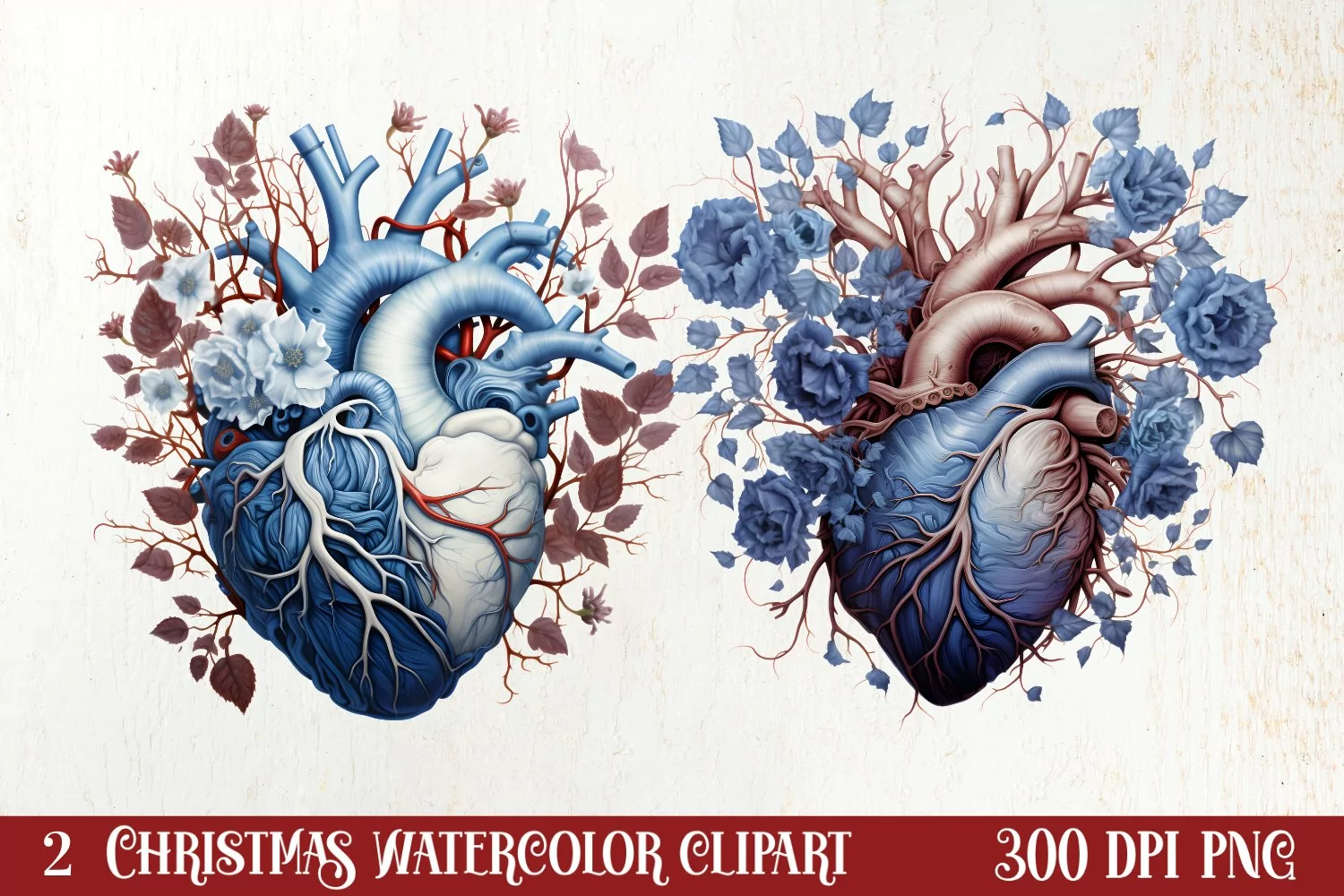 Watercolor Christmas Floral Hearts Clipart product image 1