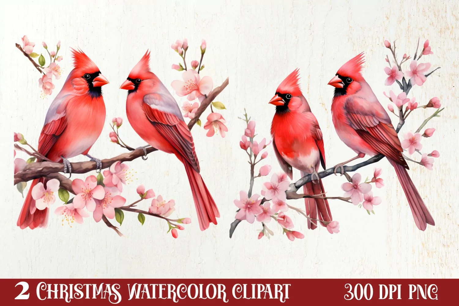 Christmas Collection Clipart Sublimation, Christmas PNG product image 1