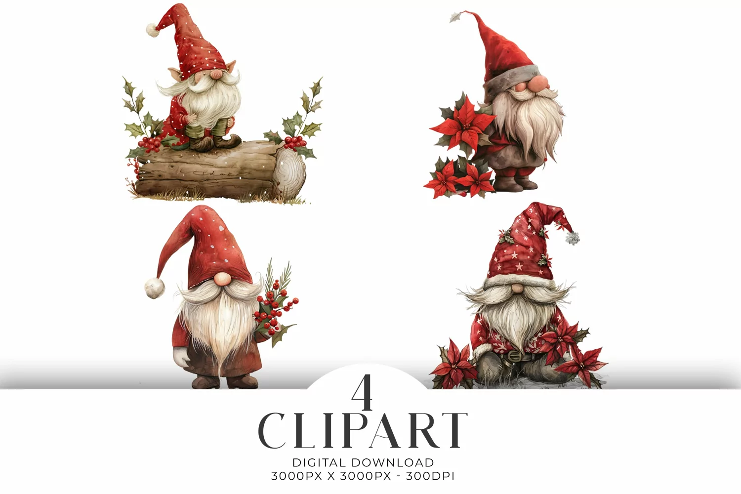 Christmas Gnomes Clipart Illustrations Watercolor PNG