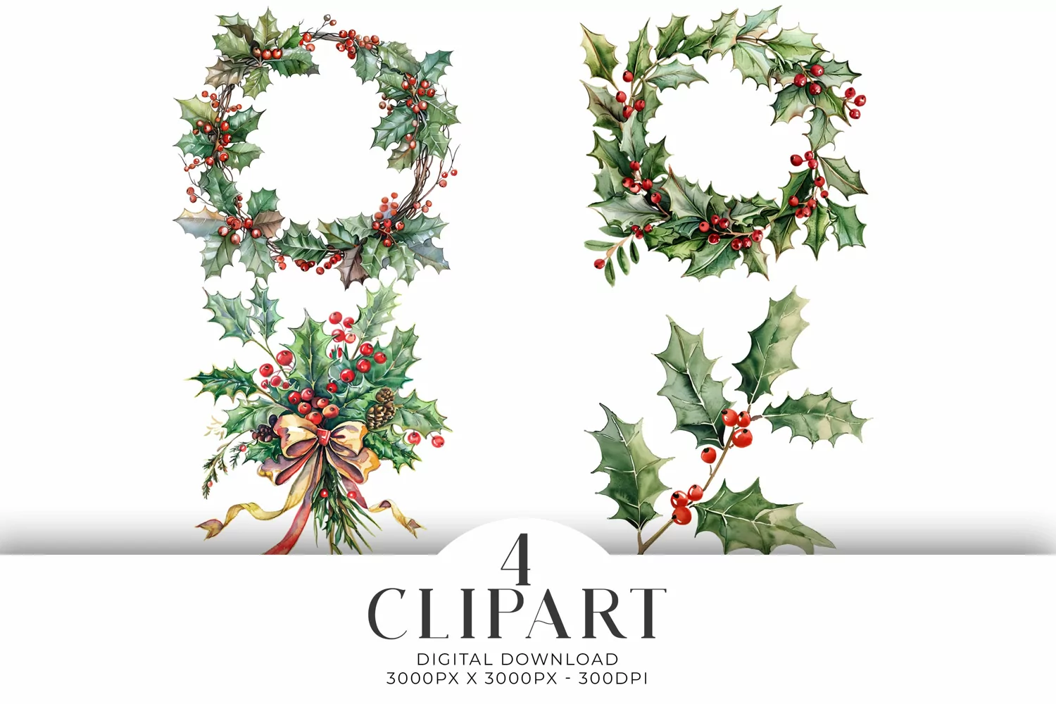 Christmas Holly Illustrations Watercolor PNG