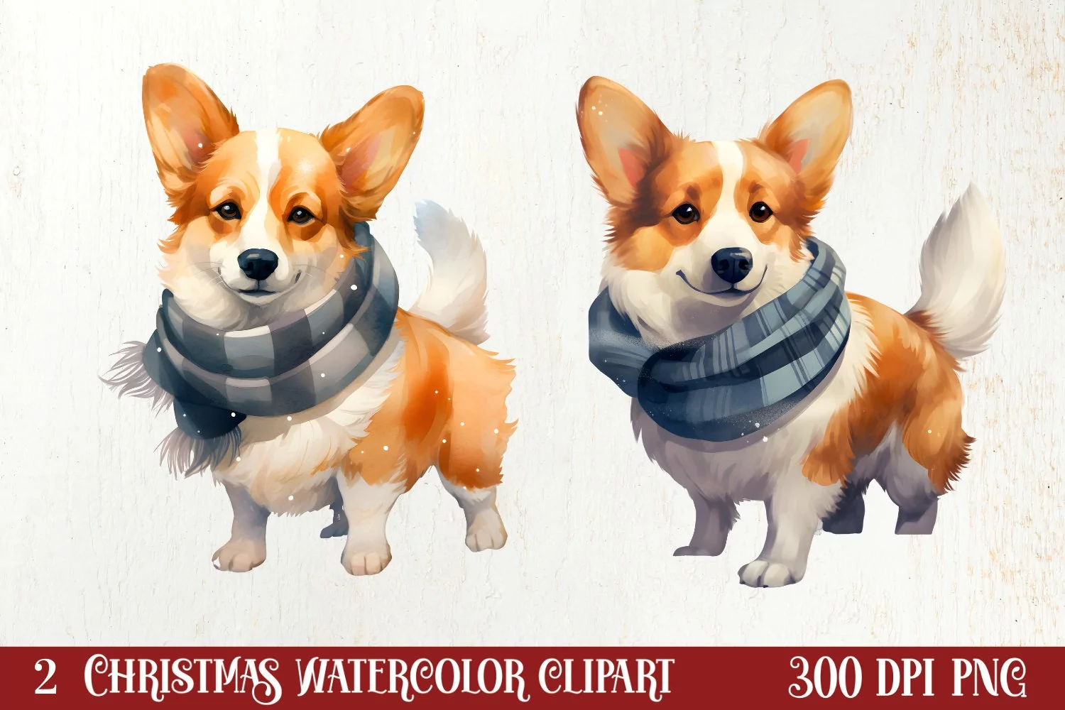 Cold Weather Dogs Sublimation Clipart, Christmas PNG product image 1