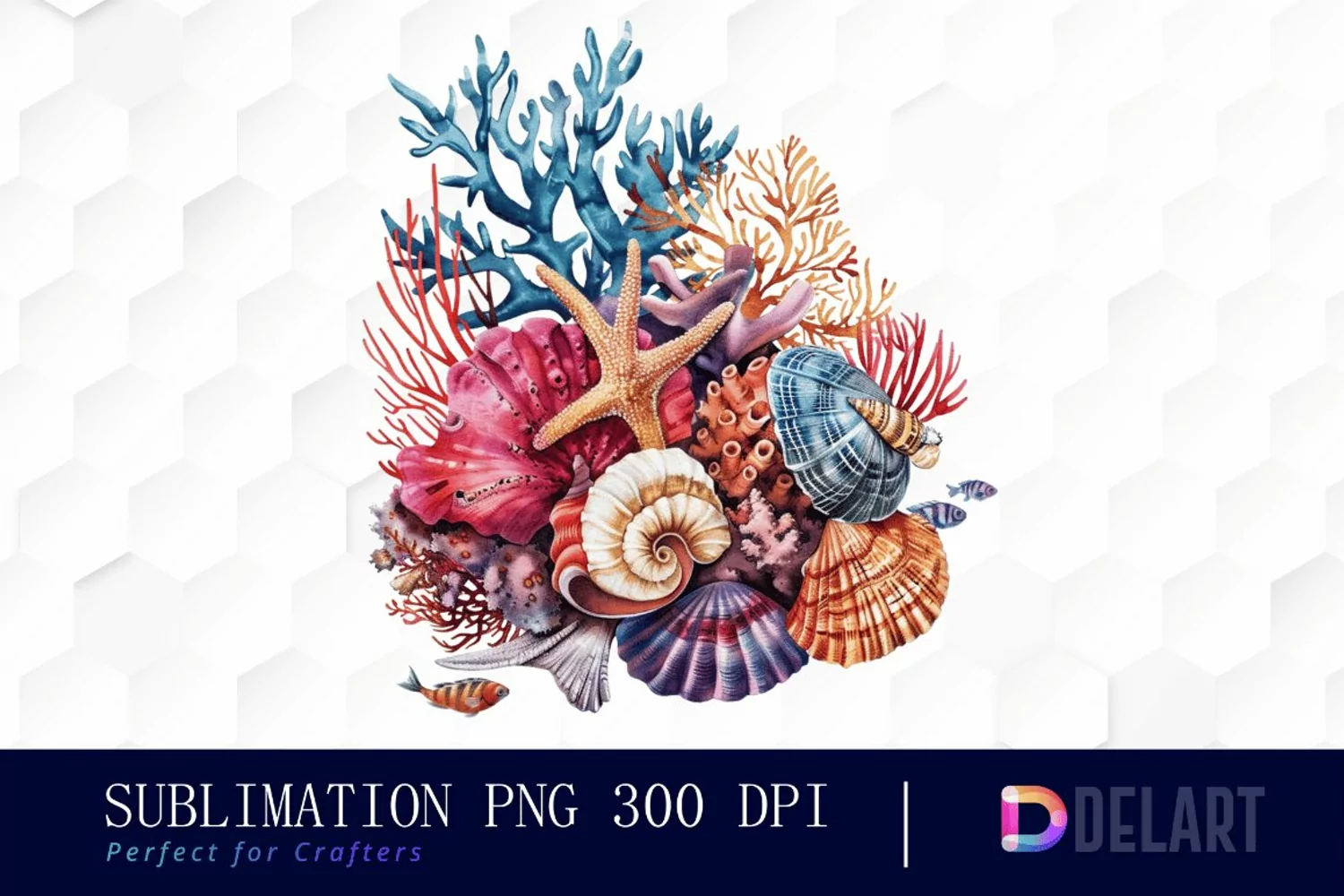 Colorful Coral Reef Sea Shell Graphics Clipart product image 1