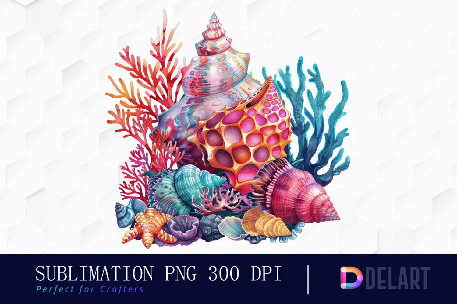 Colorful Coral Reef Sea Shell Graphics Clipart product image 1