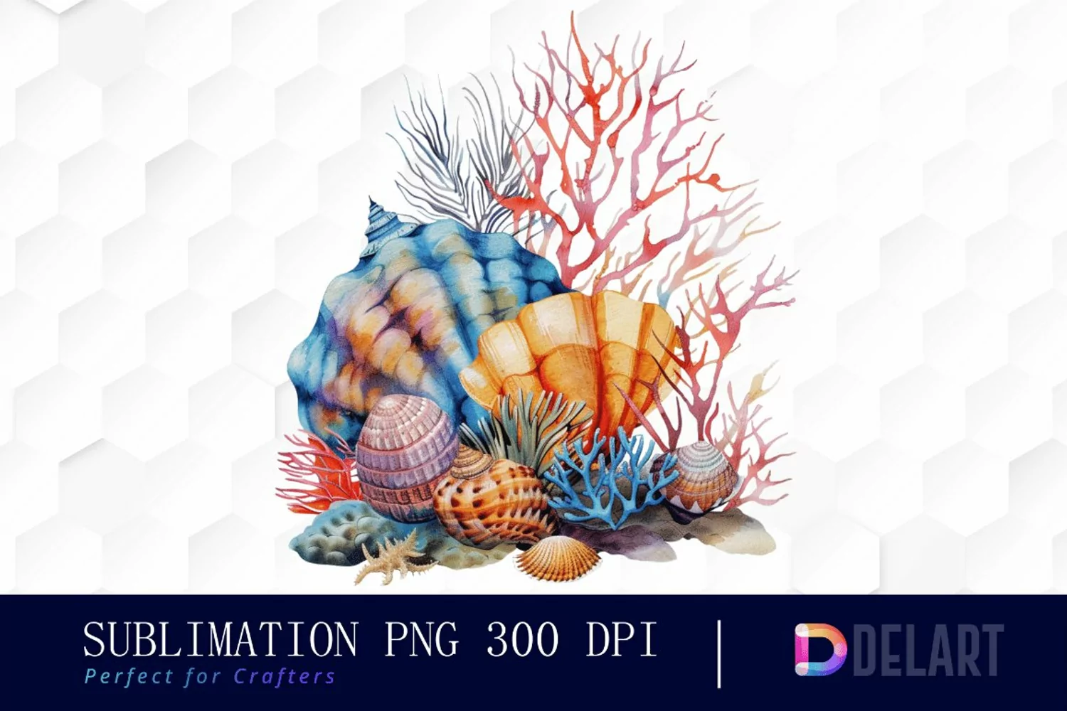Colorful Coral Reef Sea Shell Graphics Clipart product image 1