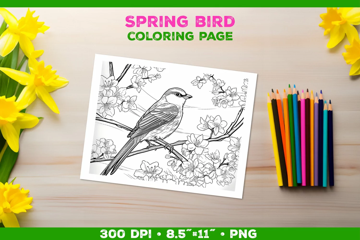 Kids simple coloring book page with Bird in Blooming Branch product image 1