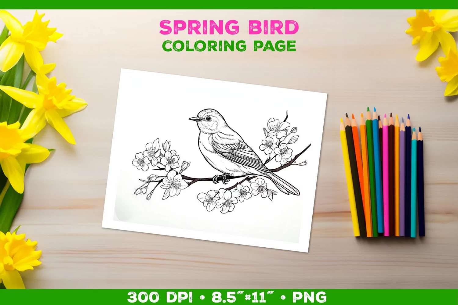 Kids simple coloring book page with Bird in Blooming Branch product image 1