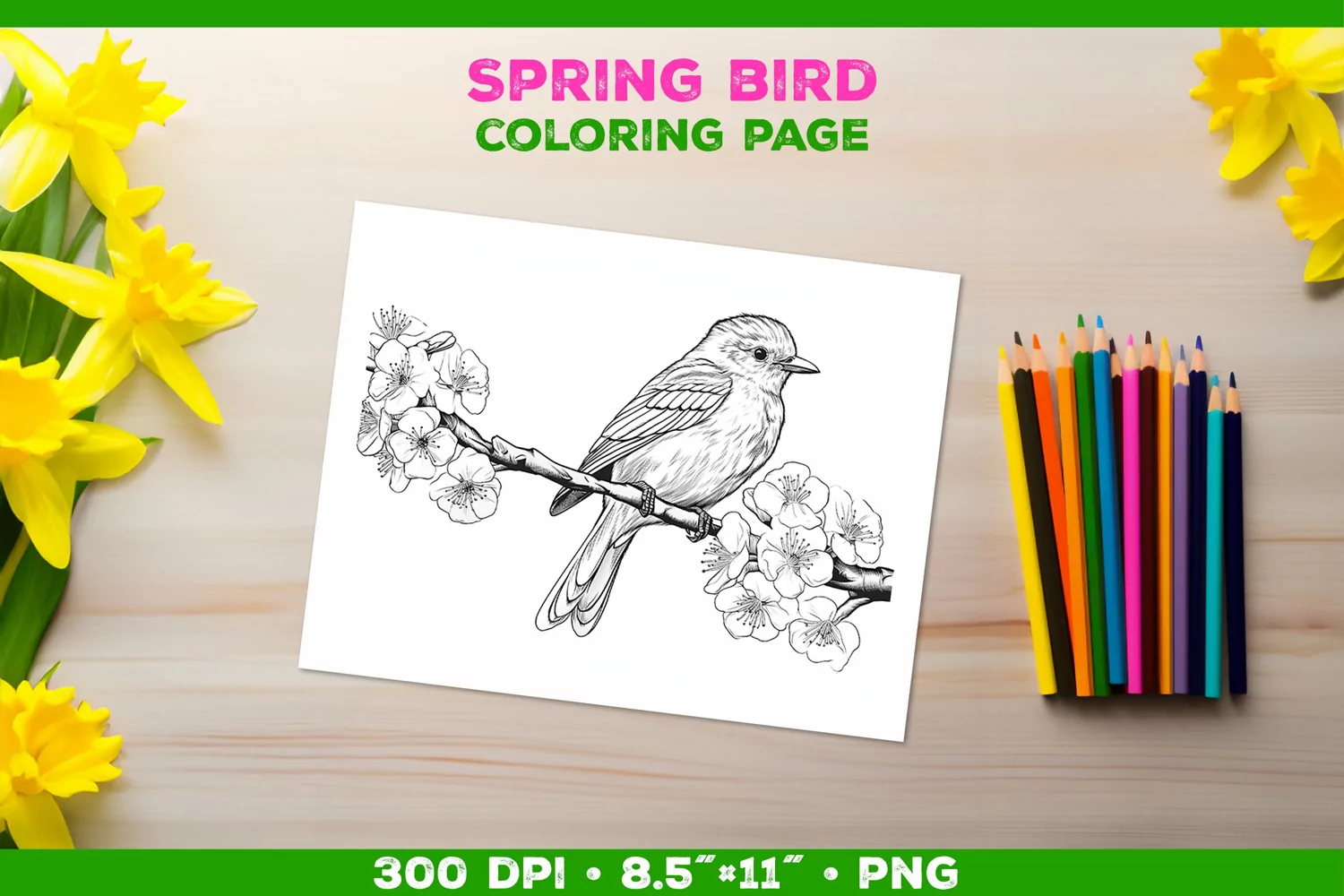 Kids simple coloring book page with Bird in Blooming Branch product image 1