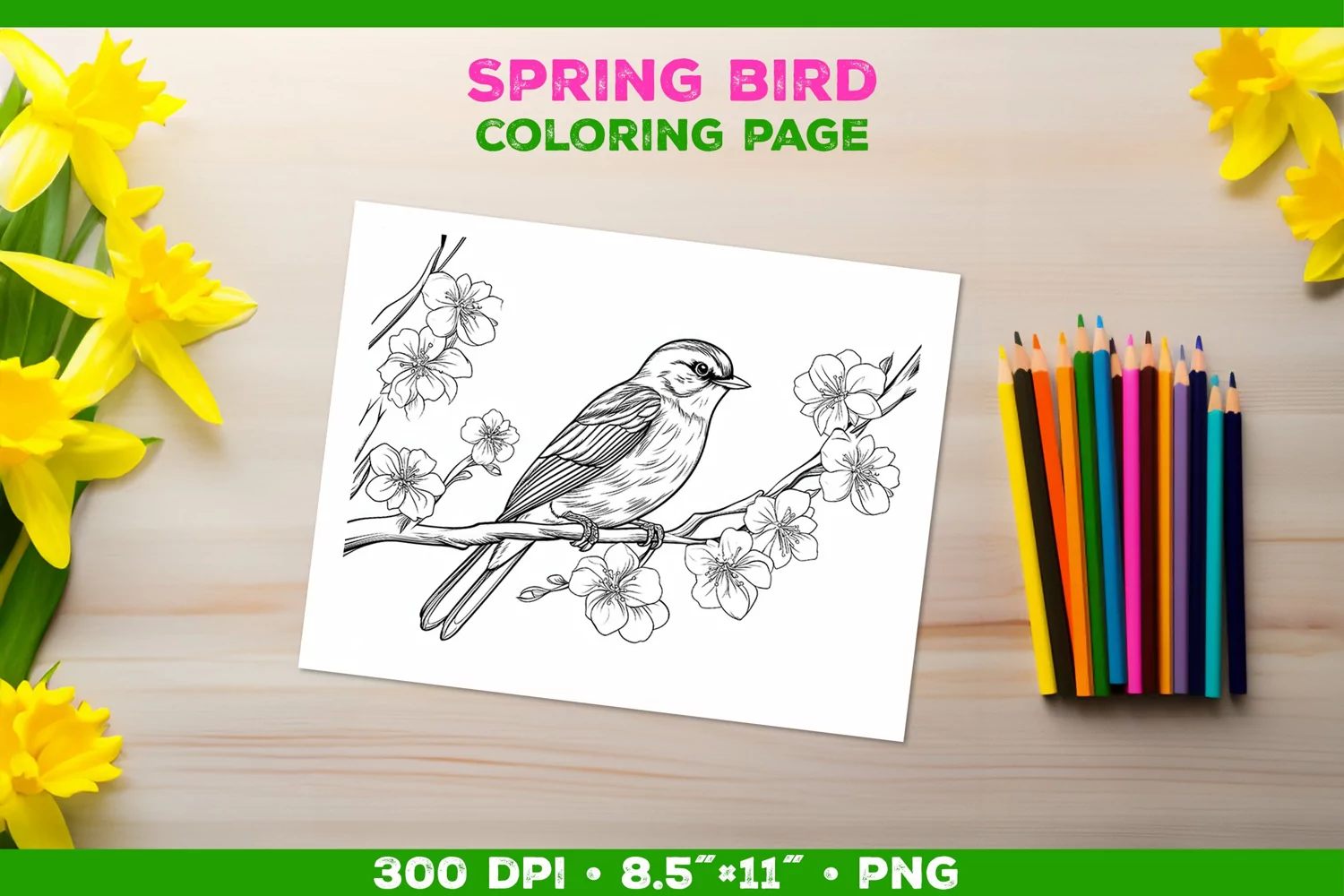 Kids simple coloring book page with Bird in Blooming Branch product image 1