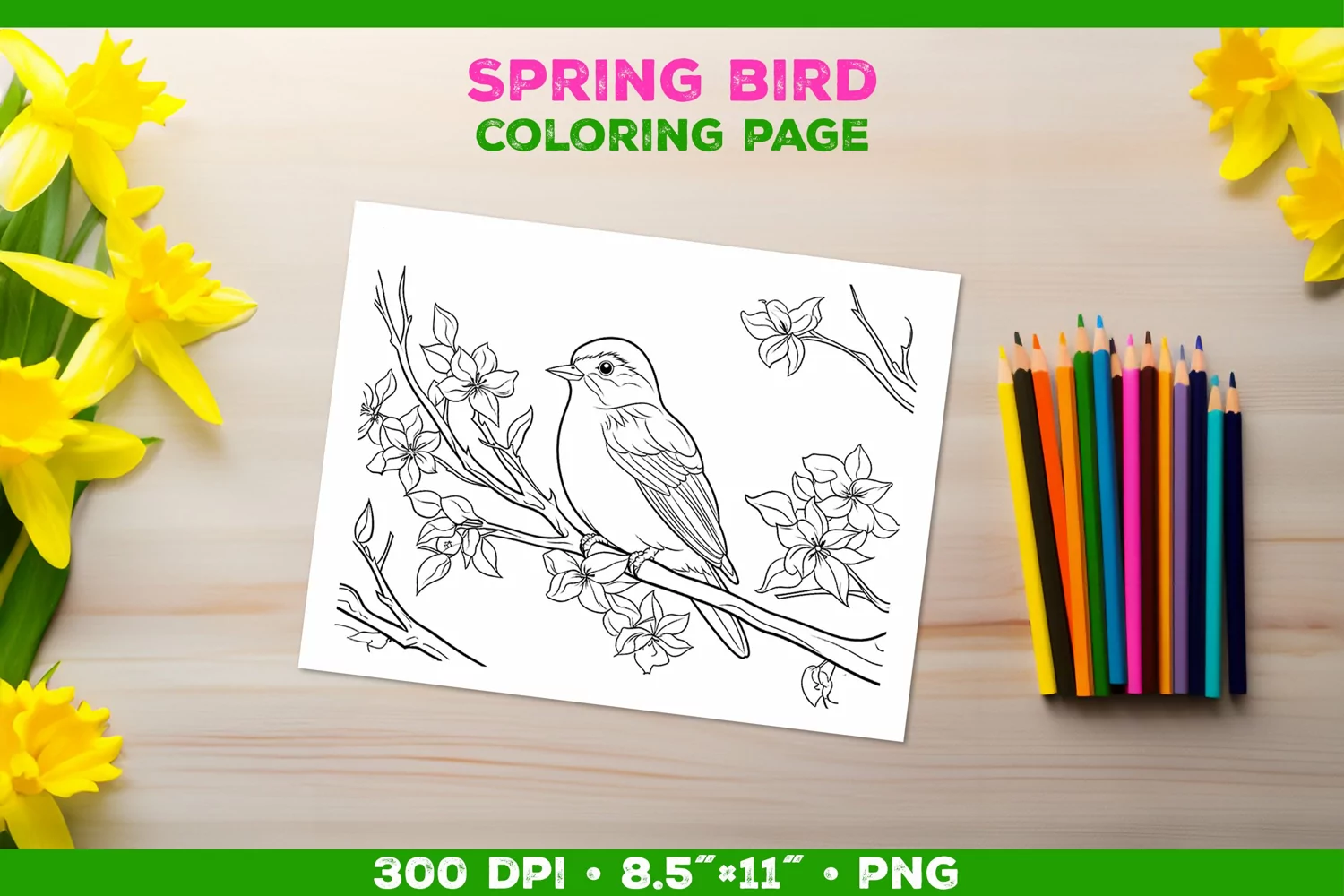 Kids simple coloring book page with Bird in Blooming Branch product image 1