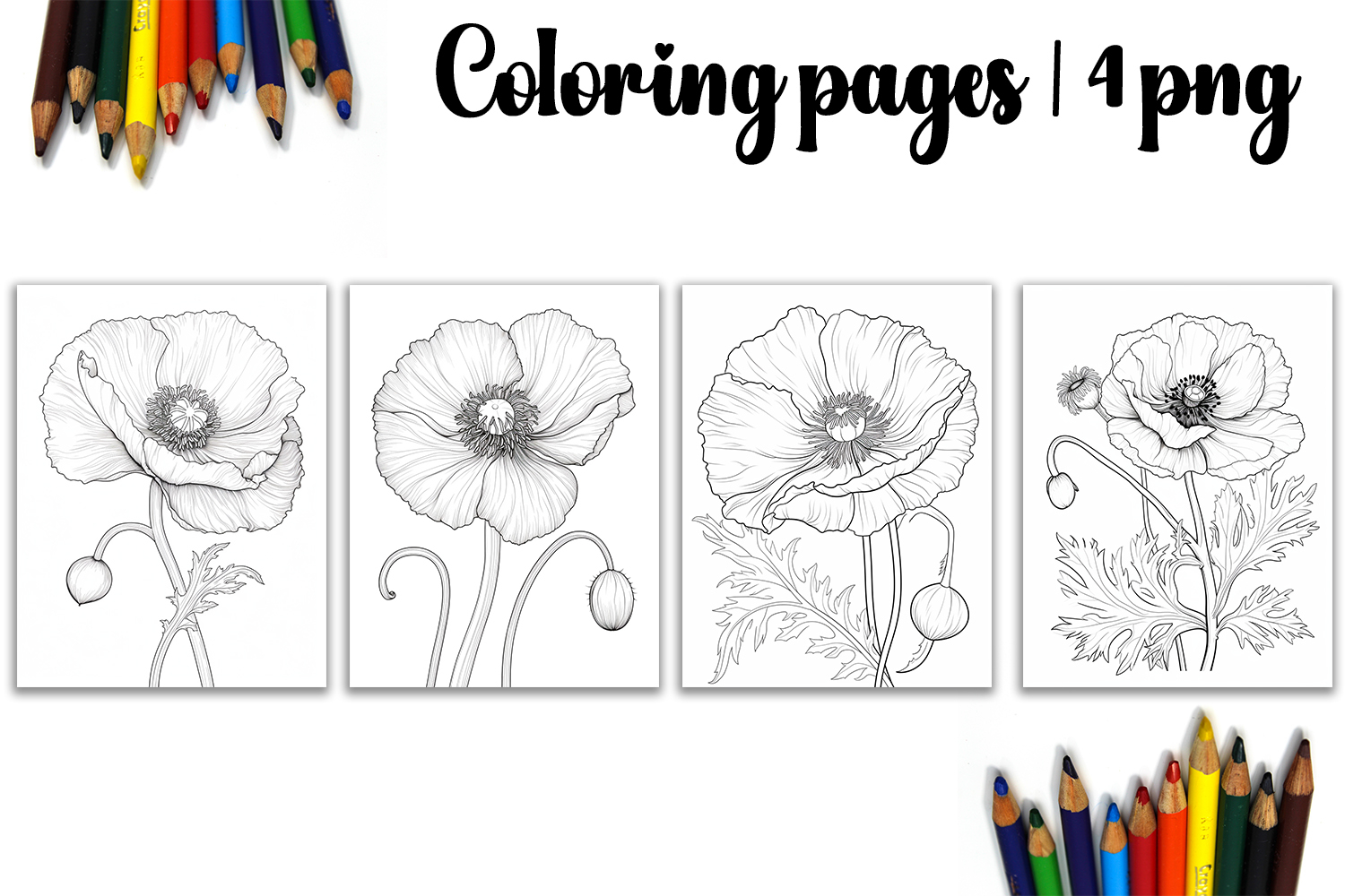 Summer flowers Design |Coloring pages product image 1