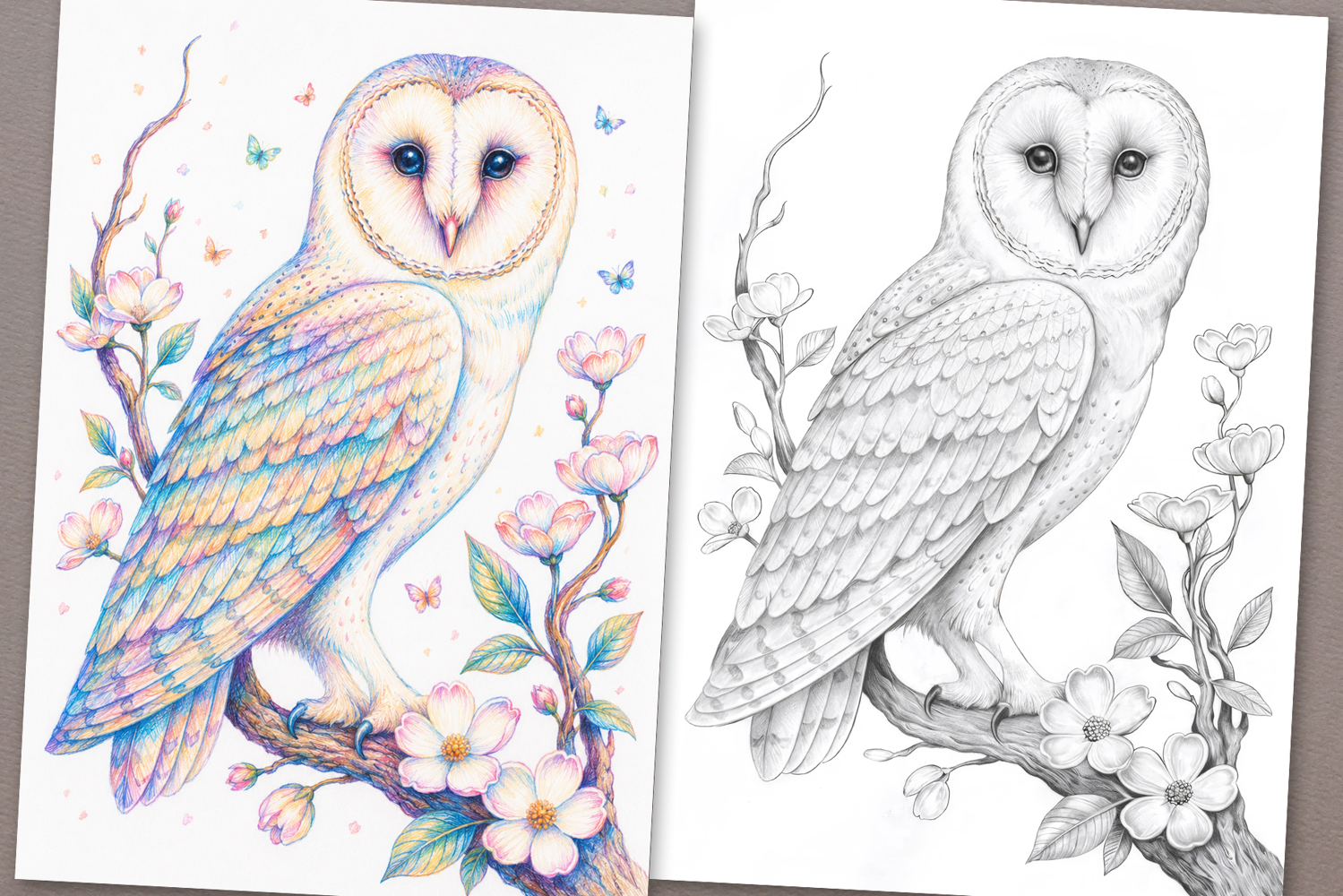 Owl Bird Coloring Page and Coloring Book for Kids and Adults product image 1
