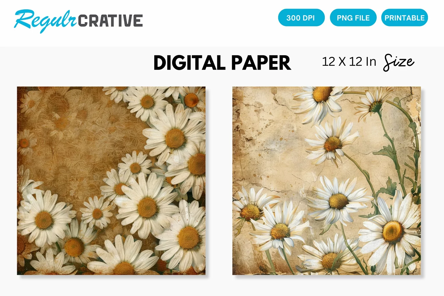 Vintage Daisy Flower Digital Paper, Daisy Vintage Background product image 1