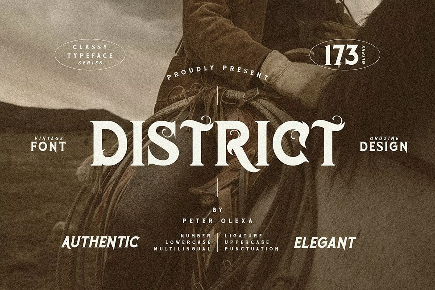 District Vintage Serif product image 1