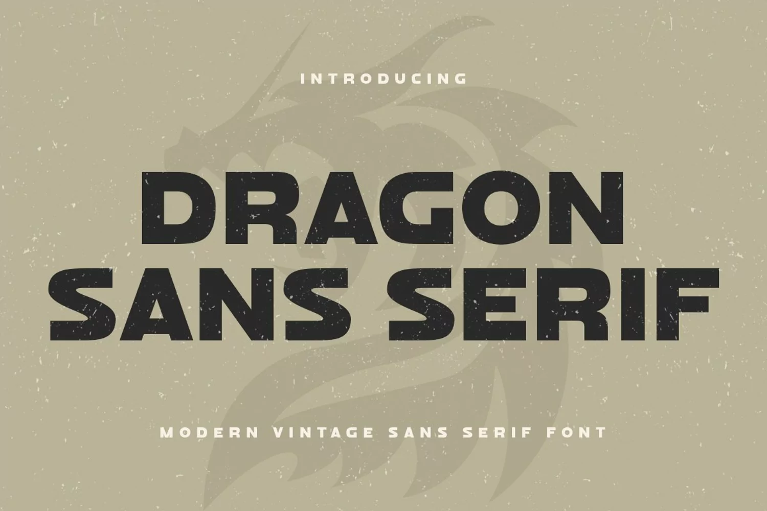 Dragon Sans Serif - Modern Vintage Sans Serif Font product image 1