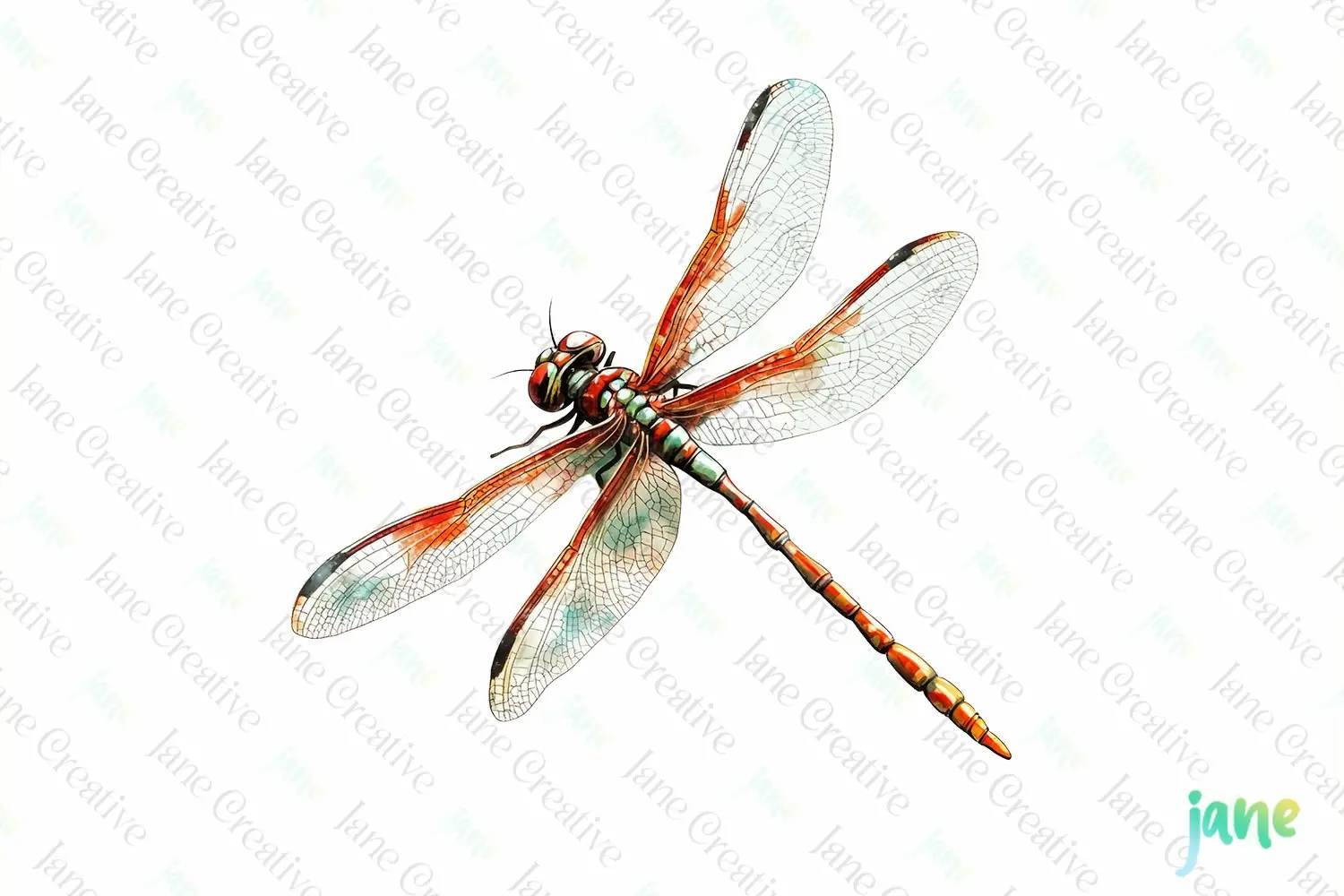 Dragonfly Vintage Insect Clipart Sublimation product image 1