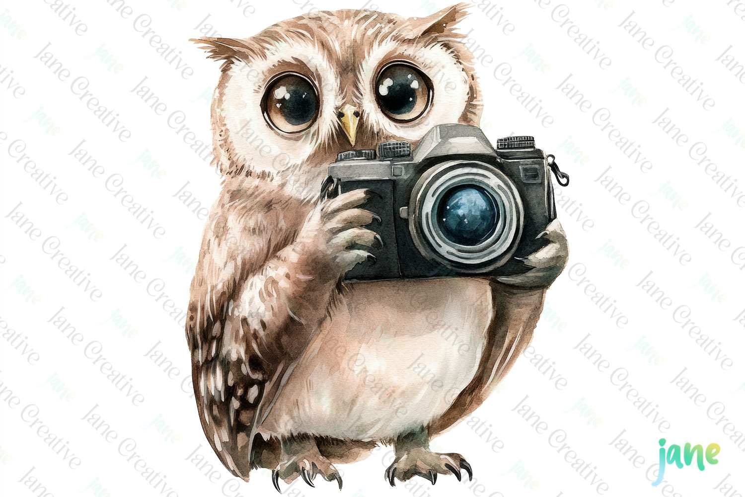 Owl Watercolor Cute Animals Photographer product image 1